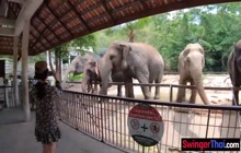 Big ass Thai girlfriend went to a zoo and made a homemade sex video after